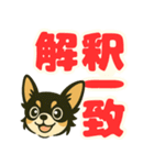 見やすいでか文字★チワワの推し活（個別スタンプ：1）