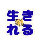 見やすいでか文字★チワワの推し活（個別スタンプ：3）