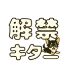 見やすいでか文字★チワワの推し活（個別スタンプ：9）