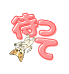 見やすいでか文字★チワワの推し活（個別スタンプ：20）