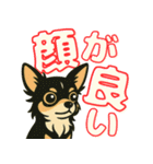 見やすいでか文字★チワワの推し活（個別スタンプ：27）