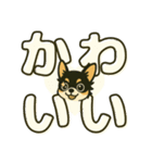 見やすいでか文字★チワワの推し活（個別スタンプ：29）