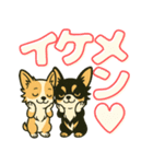 見やすいでか文字★チワワの推し活（個別スタンプ：31）