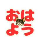 見やすいでか文字★チワワの日常（個別スタンプ：1）