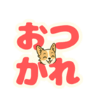 見やすいでか文字★チワワの日常（個別スタンプ：2）
