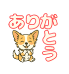 見やすいでか文字★チワワの日常（個別スタンプ：19）