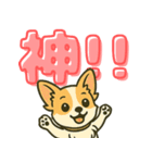 見やすいでか文字★チワワの日常（個別スタンプ：22）