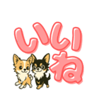 見やすいでか文字★チワワの日常（個別スタンプ：23）