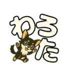 見やすいでか文字★チワワの日常（個別スタンプ：24）