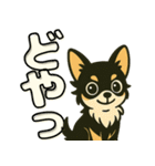 見やすいでか文字★チワワの日常（個別スタンプ：27）