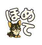 見やすいでか文字★チワワの日常（個別スタンプ：28）