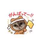 マイキャッ2ー3（個別スタンプ：8）