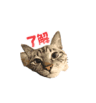 むぎるる（個別スタンプ：6）