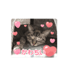 むぎるる（個別スタンプ：8）