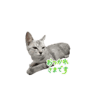 むぎるる（個別スタンプ：13）
