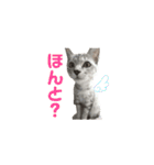 むぎるる（個別スタンプ：15）