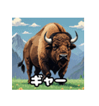 トゲトゲバッファロー（個別スタンプ：20）