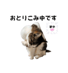わがままできゅーとなねこちゃん（個別スタンプ：11）