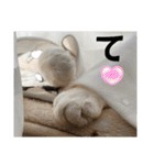 わがままできゅーとなねこちゃん（個別スタンプ：17）
