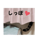わがままできゅーとなねこちゃん（個別スタンプ：18）