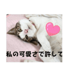 わがままできゅーとなねこちゃん（個別スタンプ：30）