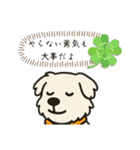 癒しと安心の言葉たち（個別スタンプ：5）