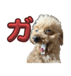 単体文字のスタンプ 第五弾（個別スタンプ：9）