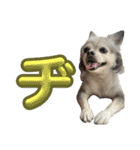 単体文字のスタンプ 第五弾（個別スタンプ：20）