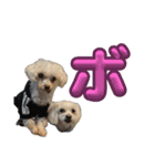 単体文字のスタンプ 第五弾（個別スタンプ：28）