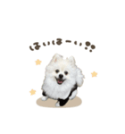 くまくん☆deformation（個別スタンプ：3）