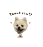 くまくん☆deformation（個別スタンプ：5）
