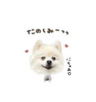 くまくん☆deformation（個別スタンプ：9）