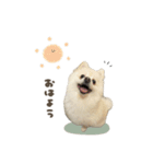 くまくん☆deformation（個別スタンプ：10）