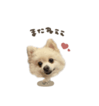 くまくん☆deformation（個別スタンプ：11）