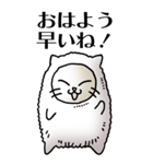 猫頭巾01（白猫）（個別スタンプ：1）
