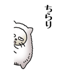 猫頭巾01（白猫）（個別スタンプ：4）