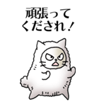 猫頭巾01（白猫）（個別スタンプ：13）