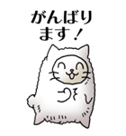 猫頭巾01（白猫）（個別スタンプ：14）