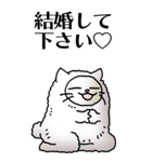 猫頭巾01（白猫）（個別スタンプ：24）