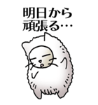 猫頭巾01（白猫）（個別スタンプ：32）