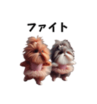 もふもふのモフ バレリーナ ウサギと犬（個別スタンプ：11）