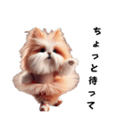 もふもふのモフ バレリーナ ウサギと犬（個別スタンプ：13）