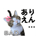 蘭丸のうちな〜ぐち（個別スタンプ：19）
