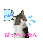 蘭丸のうちな〜ぐち（個別スタンプ：21）