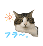 蘭丸のうちな〜ぐち（個別スタンプ：32）