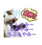 蘭丸のうちな〜ぐち（個別スタンプ：37）