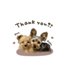 ぱんちゃん♡ぽぽちゃんスタンダード（個別スタンプ：5）