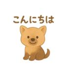 やぶいぬの まいにちスタンプ（個別スタンプ：1）