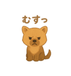 やぶいぬの まいにちスタンプ（個別スタンプ：5）