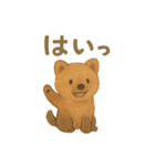 やぶいぬの まいにちスタンプ（個別スタンプ：9）